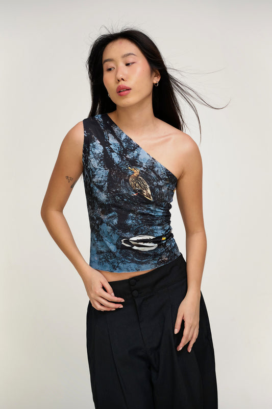 CANARD ASYMMETRICAL TOP